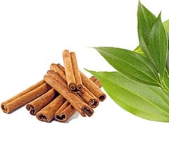 Cinnamon Leaf Oil