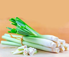 Lemongrass Oil